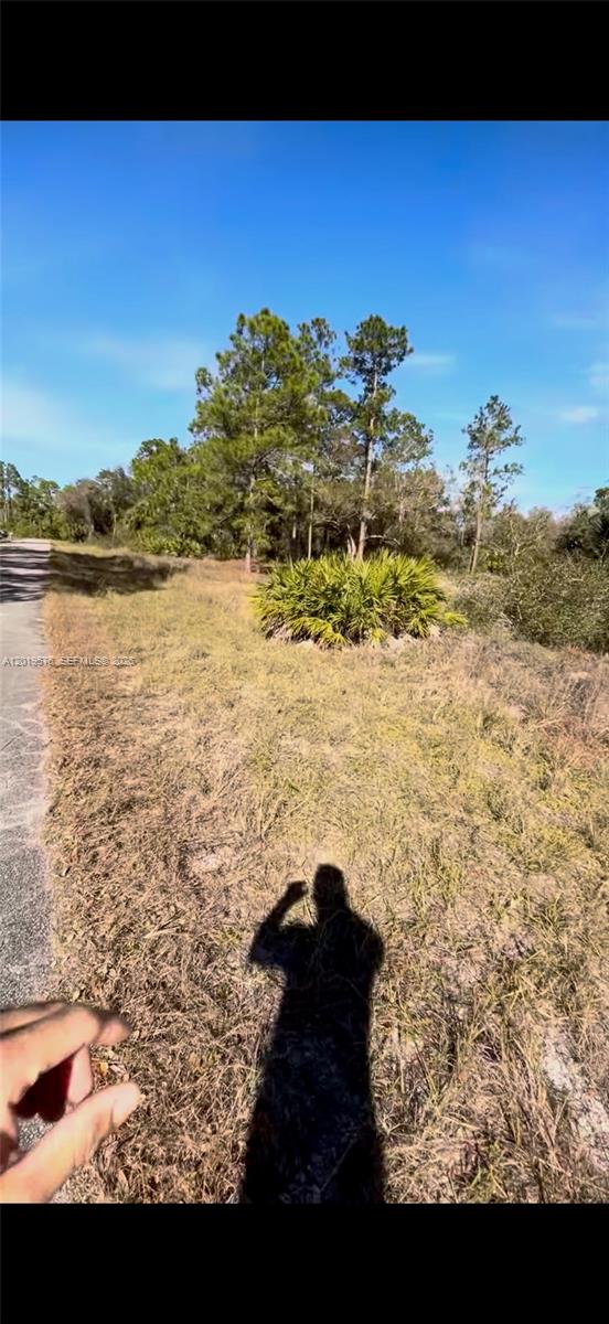 Lehigh Acres Unit 4 - Land