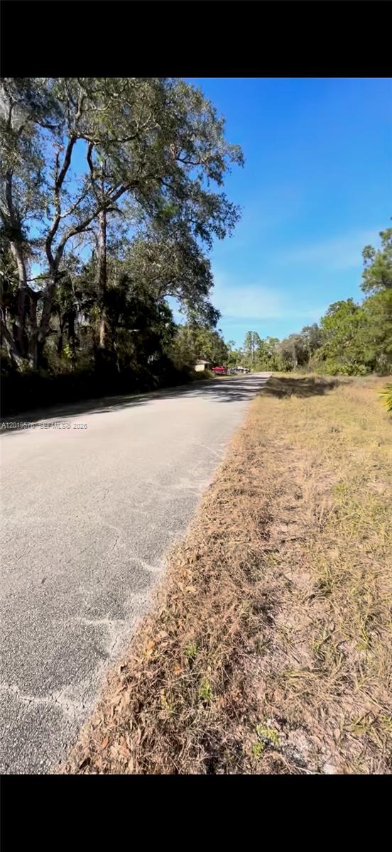 Lehigh Acres Unit 4 - Land