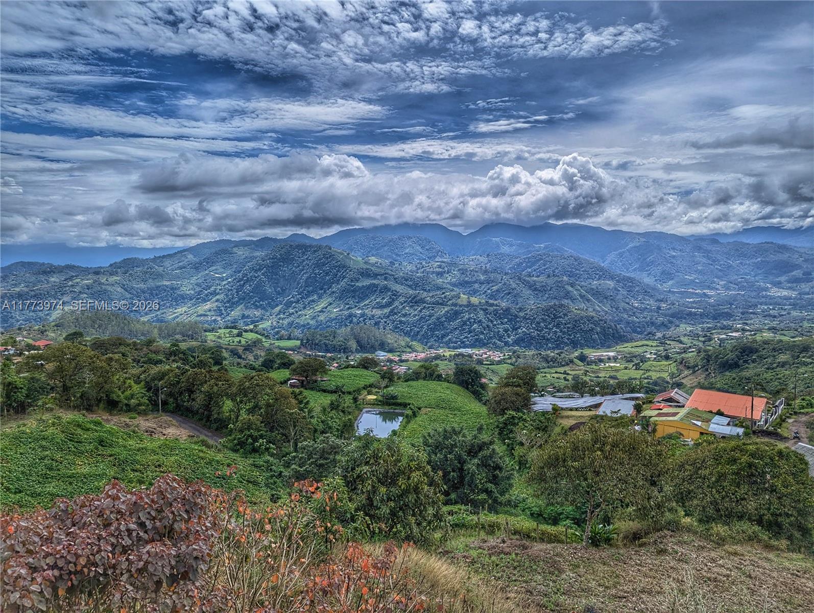 6 Cervantes Cartago Costa Rica