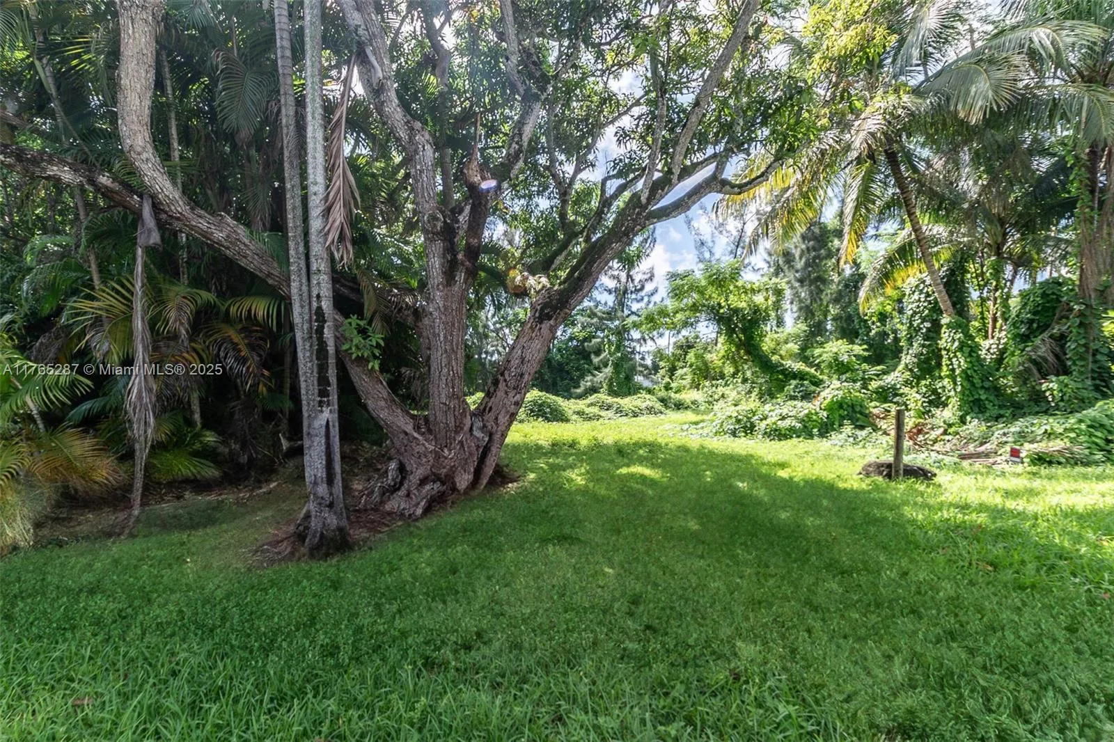 Palmetto Bay, Florida 33157, United States, ,Land,Pending,91061