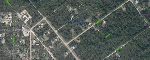 1209 Bradley Avenue Lake Placid FL 33852