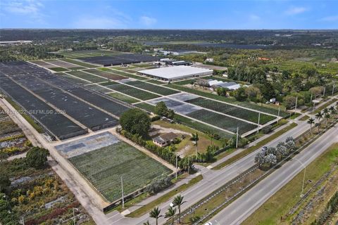 Tiny photo for 25900 SW 177th Ave, Homestead, FL 33031 (MLS # A11976822)