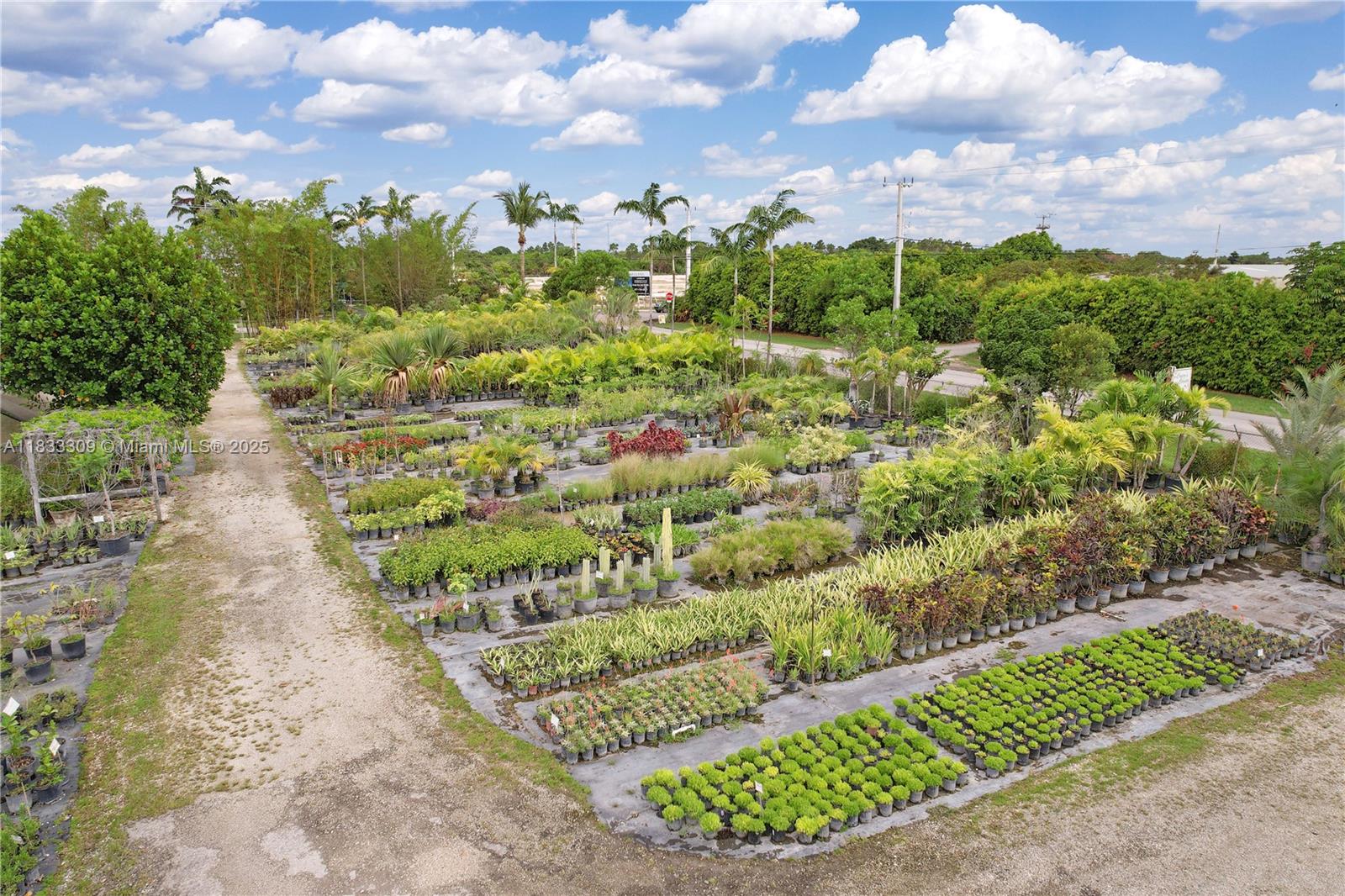 2+ ACRES INSIDE UDB LAND - Land