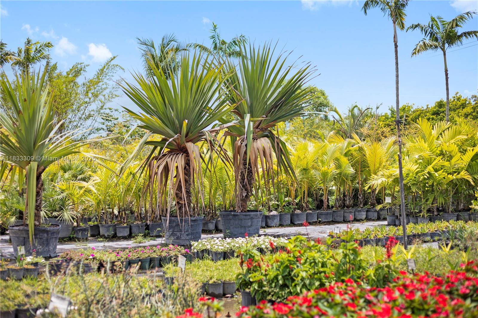 2+ ACRES INSIDE UDB LAND - Land