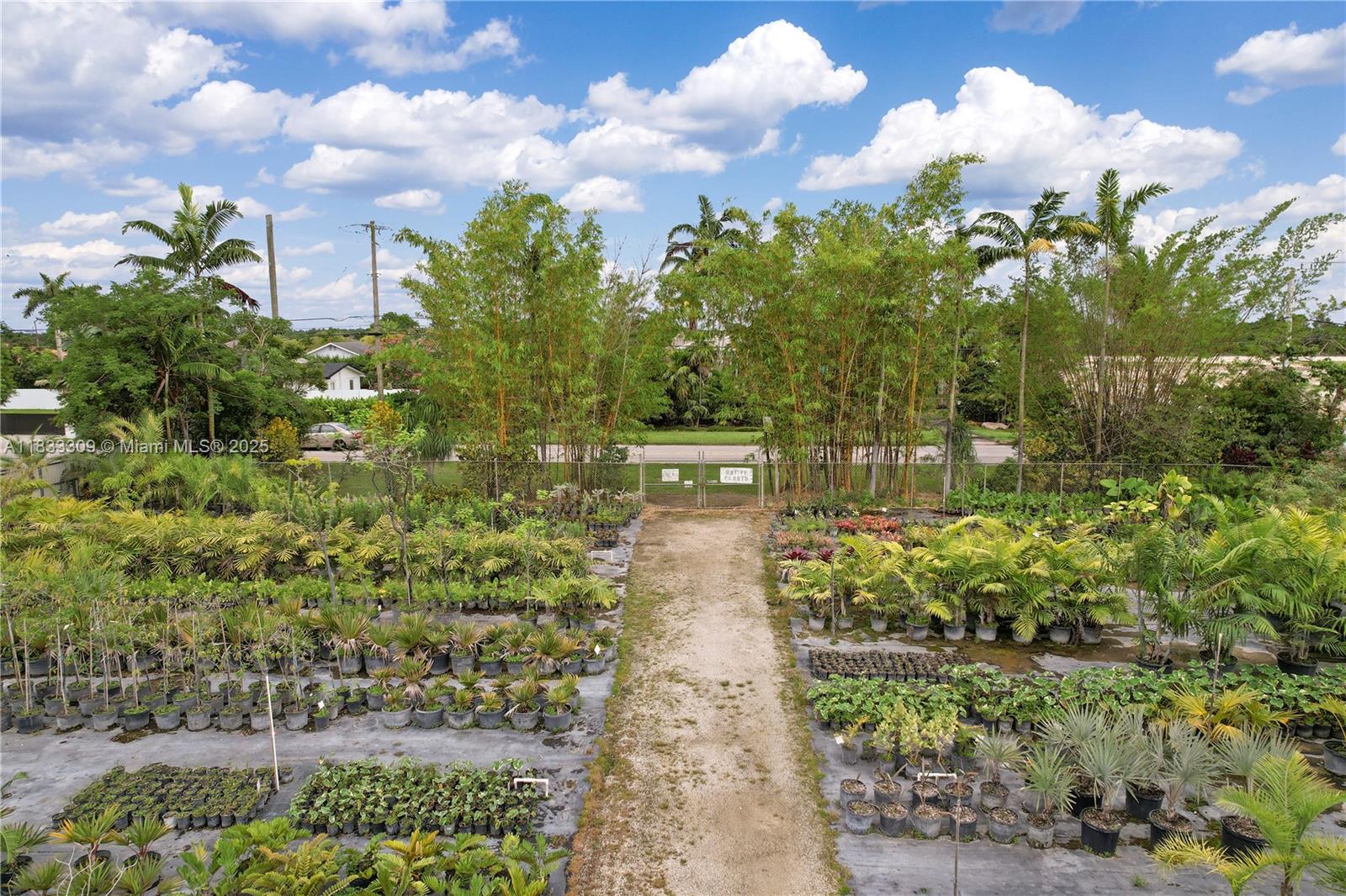 2+ ACRES INSIDE UDB LAND - Land