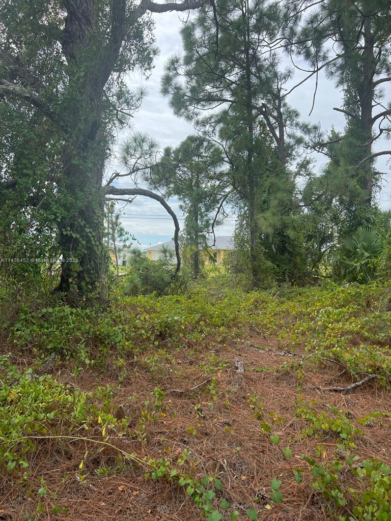 EXCELLENT LOCATION NEAR STATE ROAD 82, THIS VACANT LOT IS JUST MINUTES FROM FORT MYERS, ESTERO AND NAPLES AND MORE GREAT OPPORTUNITY TO BUILD YOUR DREAM HOME.
City-approved project for construction. Features 3/3 plus a den, excellent layout, and prime location. Ideal for investors or families seeking comfort and modern design. Don't miss this unique opportunity! 2506 SW 35th St Sw, Lehigh Acres, FL 33976