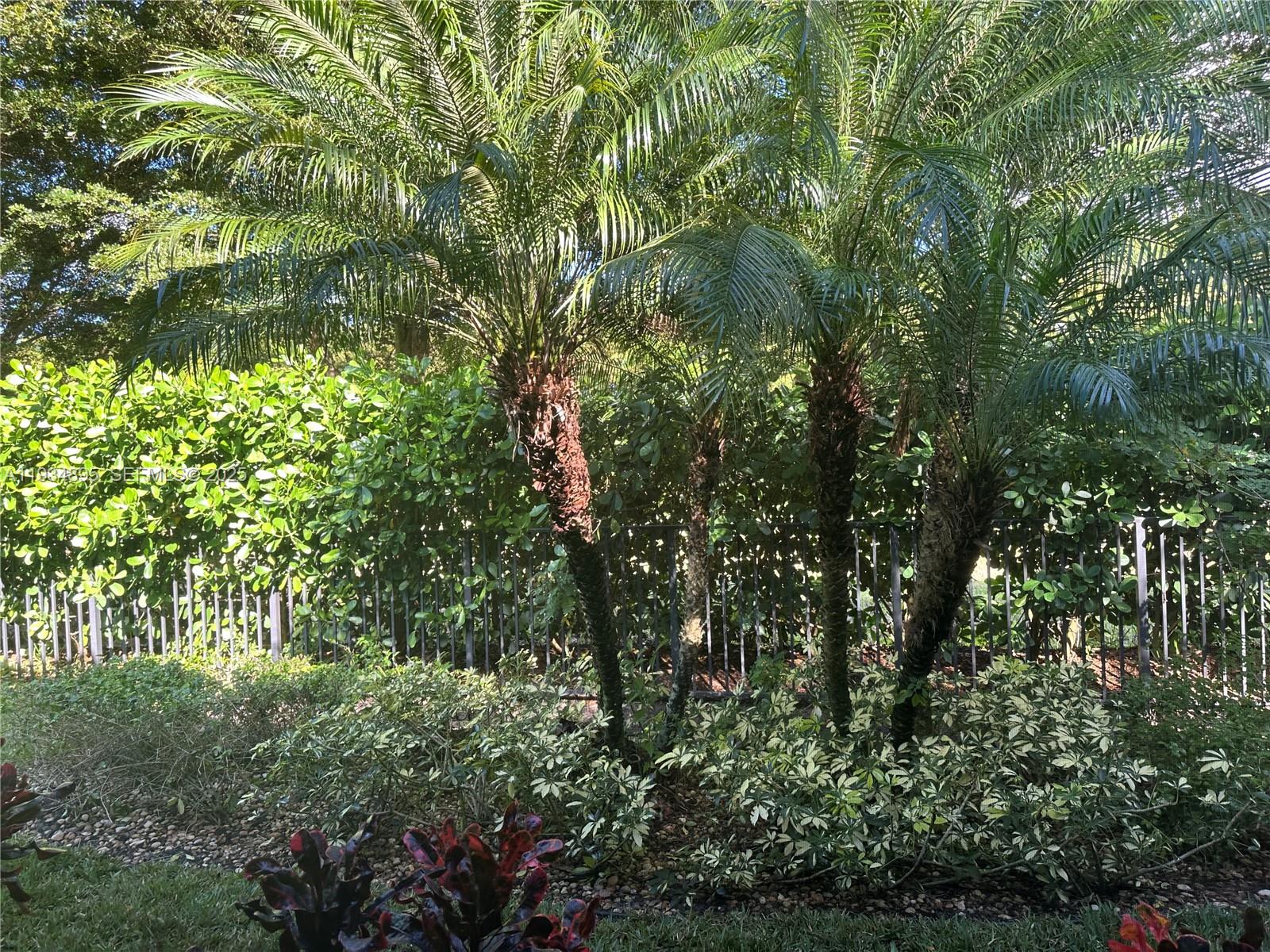 VALENCIA COVE AGR PUD PL - Residential