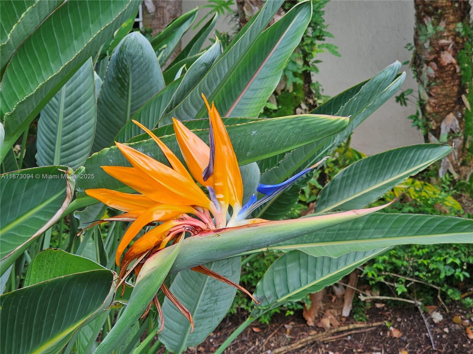 BISCAYA IV CONDO - Residential