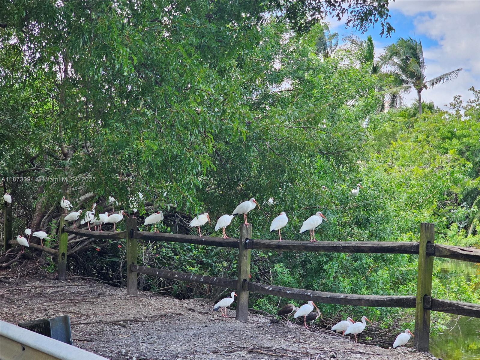 BISCAYA IV CONDO - Residential