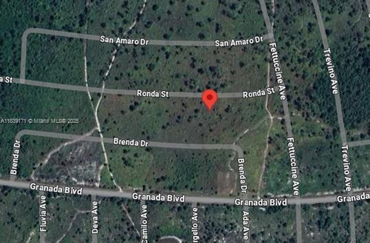 0.24 ACRES VACANT RESIDENTIAL LAND IN SEBRING, FL 33872