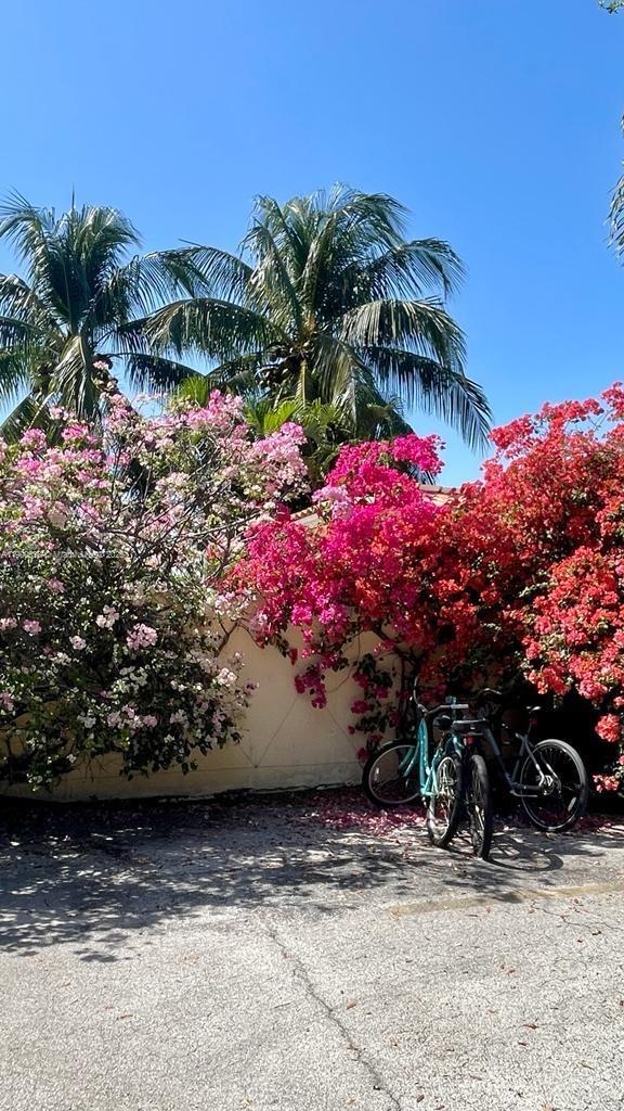 PINE TREE PLACE CONDO - Residential