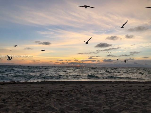 Beautiful fully furnished beach condo - 1bd/1 den & 2 full baths.  Leasing from Sept 1, 2024 to May 31, 2025.  Easy beach and boardwalk access - great for walking and bide riding.  Centrally located in North Beach.  Walkable to many restaurants, bakeries, grocery stores, Walgreens, CVS and the NOBE Bandshell.  Only two blocks away from Carillon Hotel & SPA and many other Fitness Centers.  One Assigned Parking included plus available public parking across the street for visitors (free after 6 pm).  All Utilities are included (water, electricity, cable & internet.  No smoking and no pets permitted