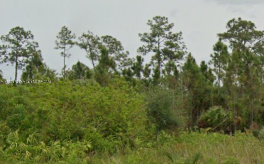 Prime ½-acre vacant lot in Lehigh Acres!
Build your dream home on this large, rectilinear parcel conveniently located near schools, shopping, dining, and parks. Positioned in a serene, non-gated neighborhood, the lot is high-and-dry and ready for your custom design—including space for a pool or expanded yard. With easy access to SR-80 and Joel Blvd, this is the opportunity you’ve been waiting for—act now before it’s gone!