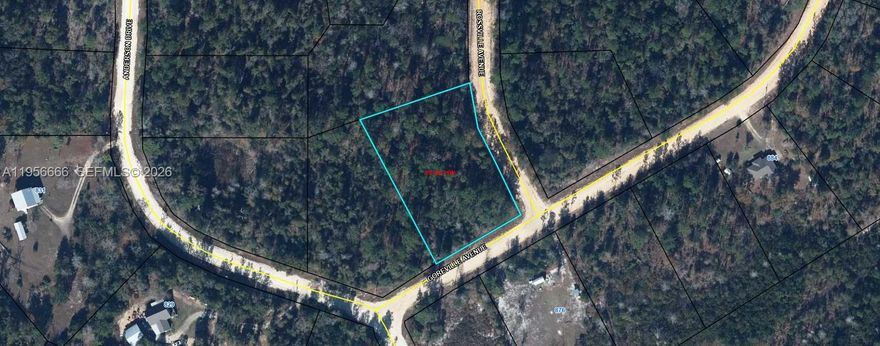Corner land in Jackson County, Alford City, VACANT 56,628 Sqft Land for sale for $10,500 on GOREVILLE AVE,
Alford Florida. LAND - Alford, FL
Don't miss this corner 1.3-acre residential lot in Compass Lake, just outside of Marianna, FL. This property offers a peaceful setting ideal for building your dream home, with nearby access to beautiful Compass Lake-a popular destination for boating, skiing, fishing, and swimming. The community also features a clubhouse with restaurant, tennis courts, swimming pool, picnic areas, and a business center. Located near Highway 231, this lot is approximately 45 minutes to Panama City and about an hour to the Gulf Coast's stunning beaches. It's a great opportunity to invest in the growing panhandle of Northwest Florida. For directional purposes, the lot is adjacent to 884 Goreville Ave, Alford, FL 32420.