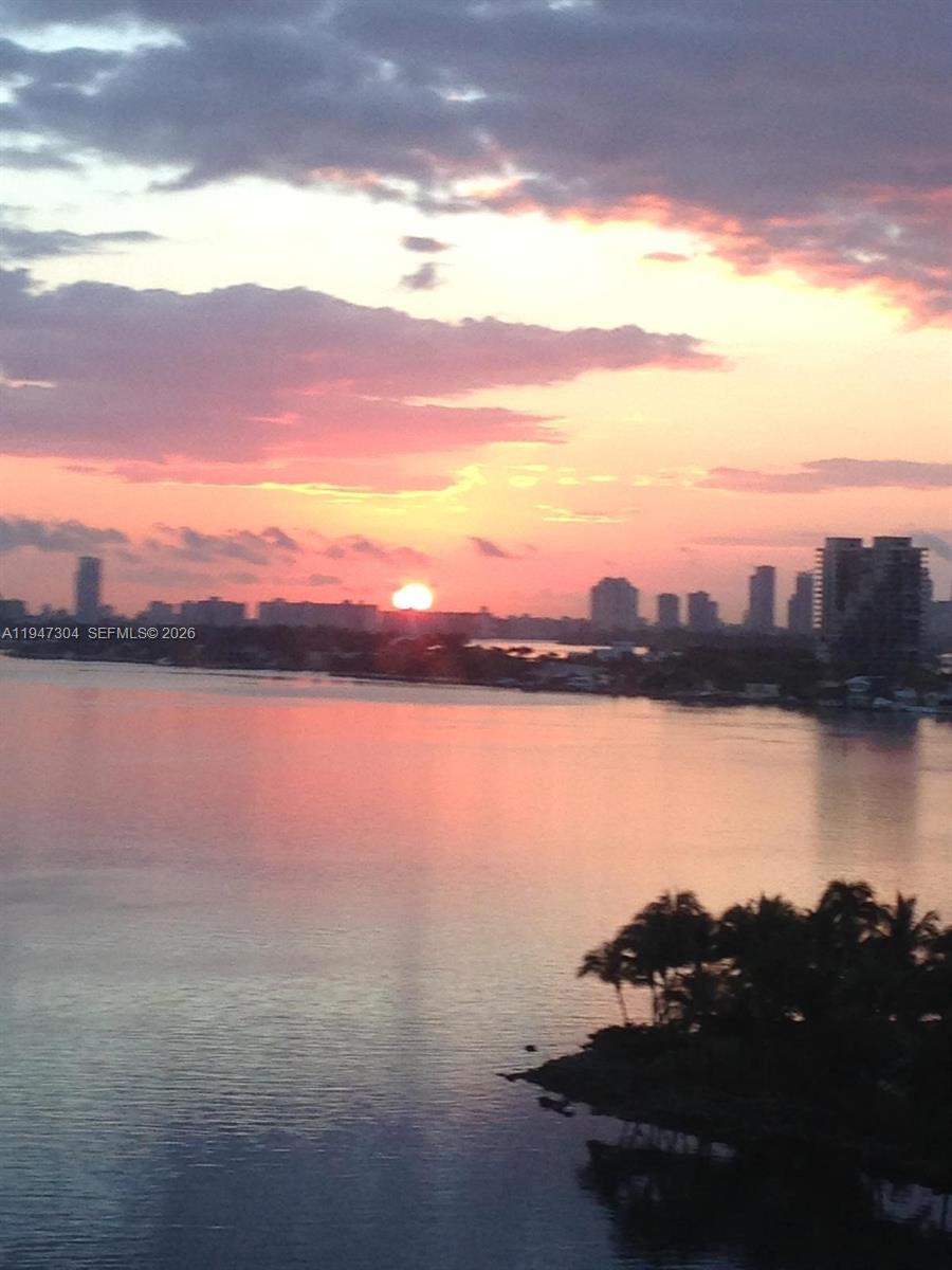 2020 N Bayshore Dr 1007