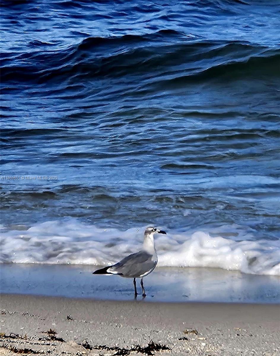 PARKER TOWER CONDO - Residential