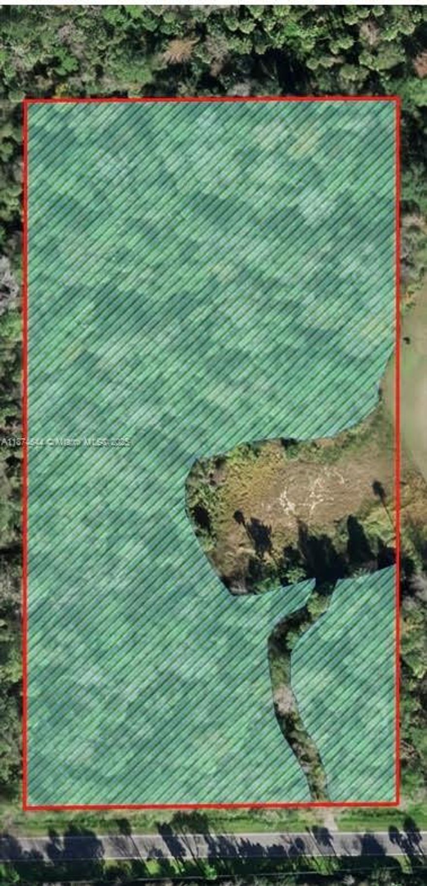 Buy this 4.74 Acres Lot.  Located in the rapidly growing unincorporated Polk County, City of Davenport, with
a cleared site for a home and driveway in place too. Minutes from Disney and all parks. Close to shopping centers, dining, and main roads. 
Seller will only entertain written CASH offers using AS-IS FAR-BAR contract/addendum(s), including signed Seller's Disclosure Statement, accompanied by proof of funds to close.
All information on MLS believed accurate but to be verified by buyer/buyer's agent.