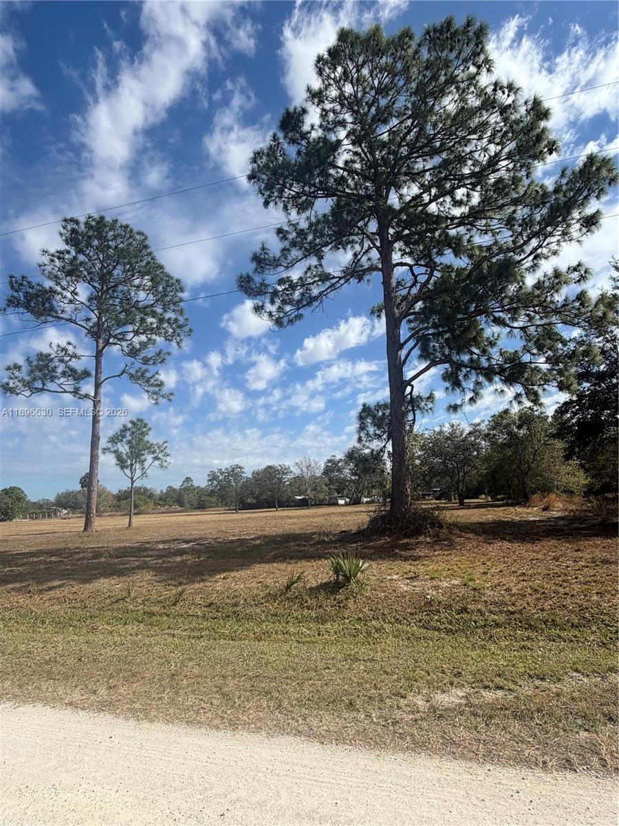 MONTURA RANCHES - Land