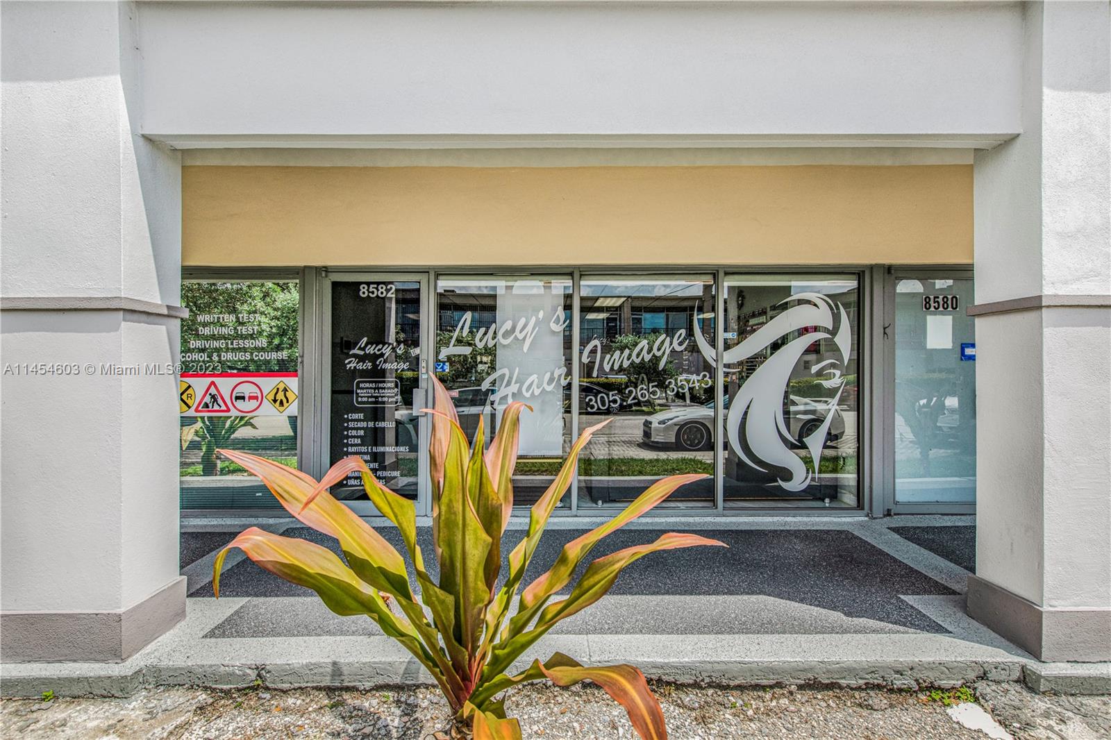 Main image without alt text