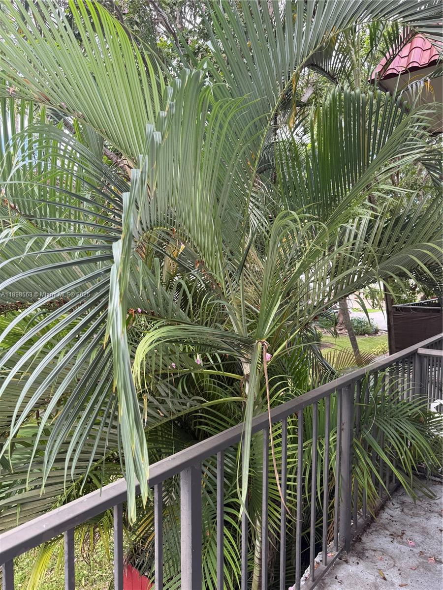 VILLAS OF PINECREST CONDO - Residential Lease