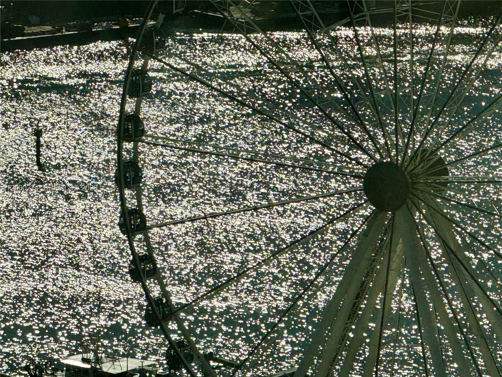 244 Biscayne Blvd 1709