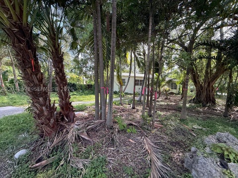 Photo of 6600 SW 64th Ct, South Miami, FL 33143 (MLS # A12042593)