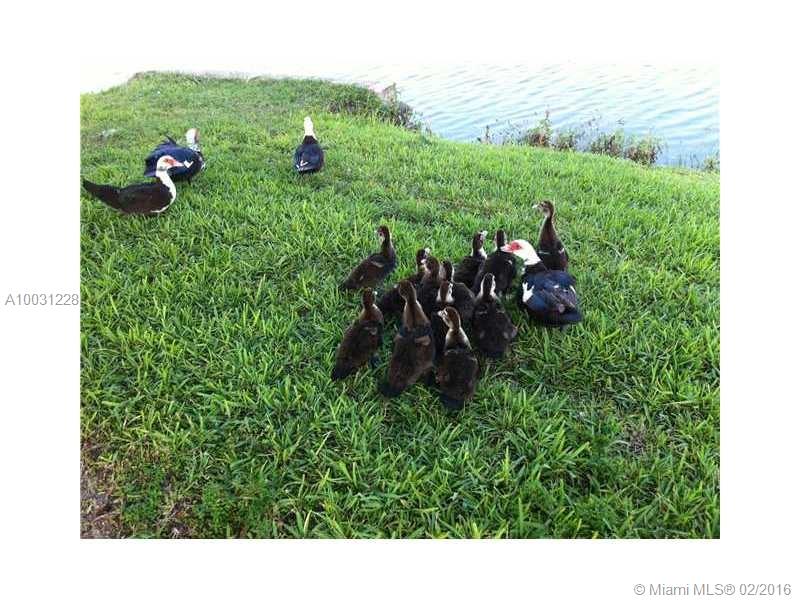 Yacht Club Condo The - Residential Lease