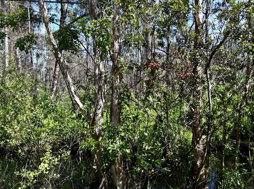 Secure this 1.25-ACRE LOT in the fastest-growing city in FLA. This HIGH AND DRY lot promises a stable foundation for your future construction endeavors. Please see remarks!
