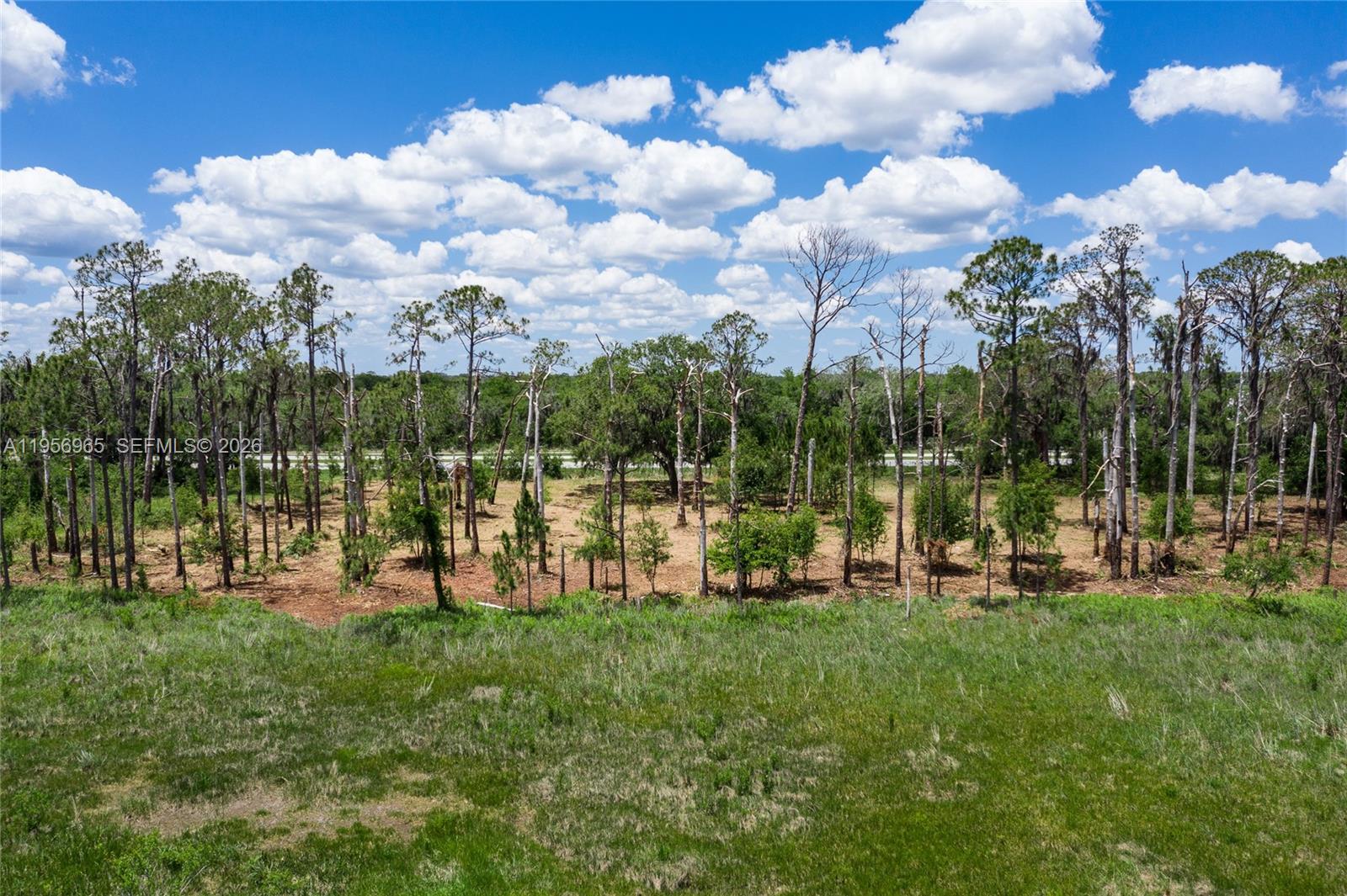 Holiday Beach PB 17 PG 61 - Land