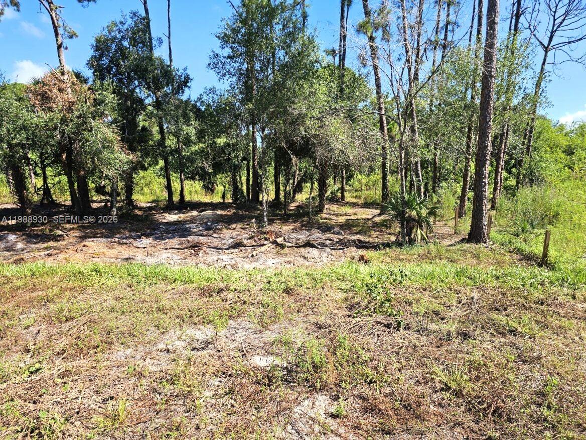 Montura Ranches - Residential