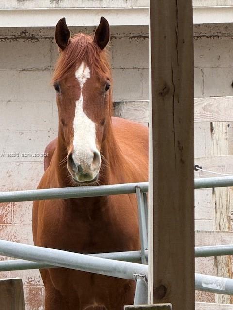 ETON COUNTRYSIDE I CONDO - Residential
