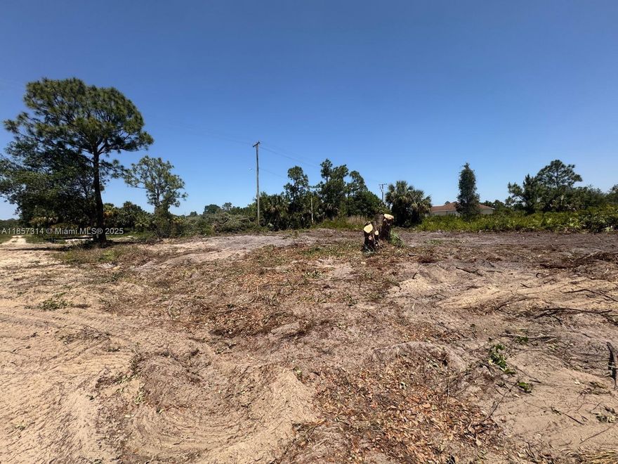 Great residential lot located in a quiet and growing area of Lehigh Acres. The lot is cleared, clean, and partially filled, making it an excellent opportunity for a new construction project. Easy access via paved roads, with new homes nearby. Perfect for investors or builders looking for a high-potential area in expansion.