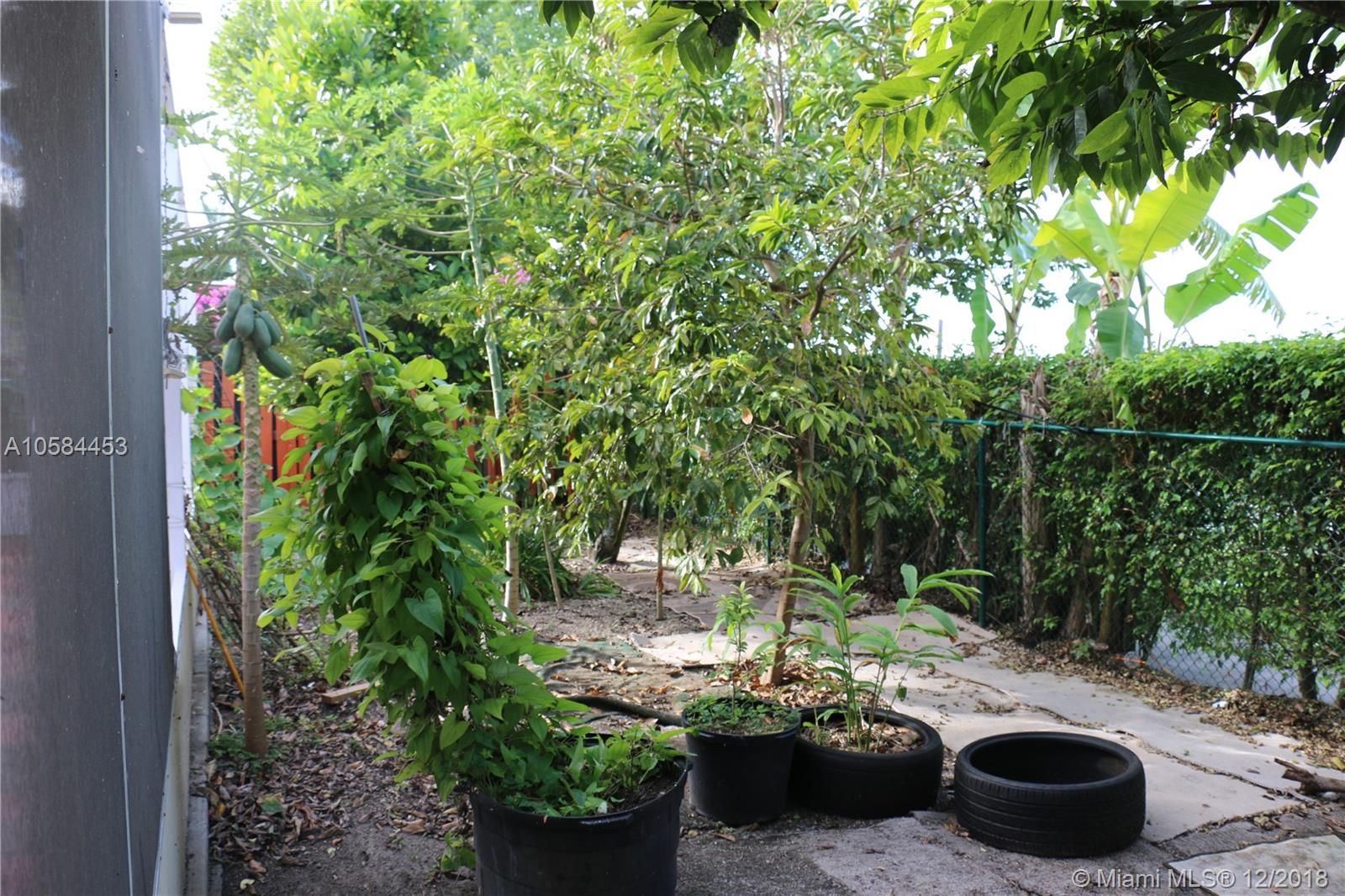 FANTASY REEF - Residential Lease