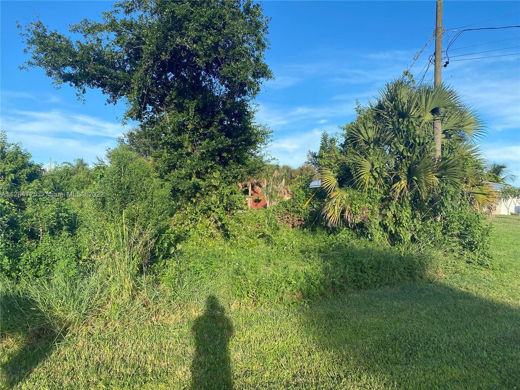 Photo of 4411 SW Paley Rd, Port Saint Lucie, FL 34953 (MLS # A11284725)