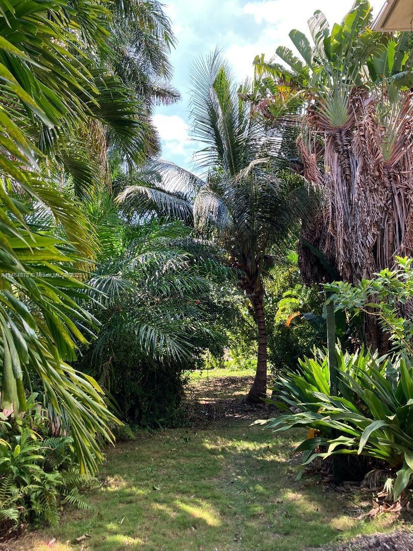 ADEMAR PARK AMD PL - Residential