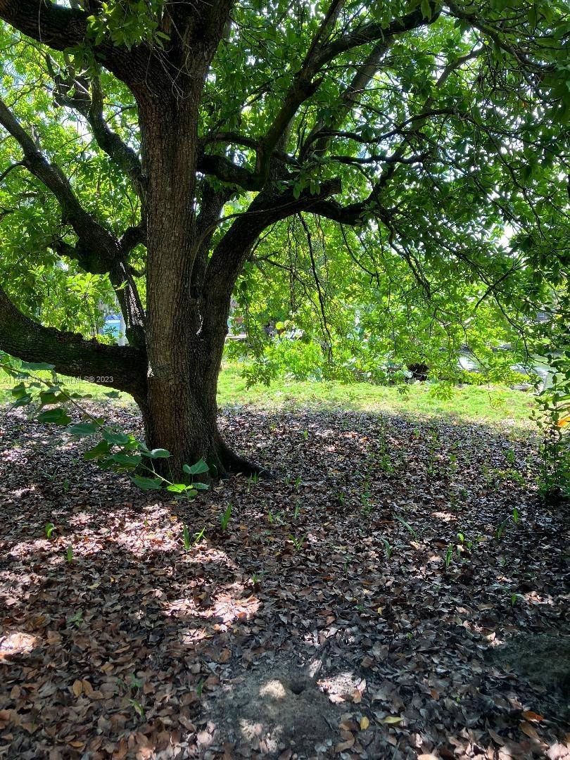 ADEMAR PARK AMD PL - Residential