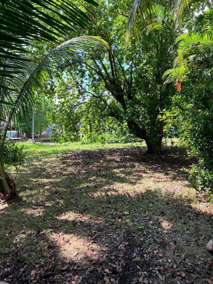 ADEMAR PARK AMD PL - Residential