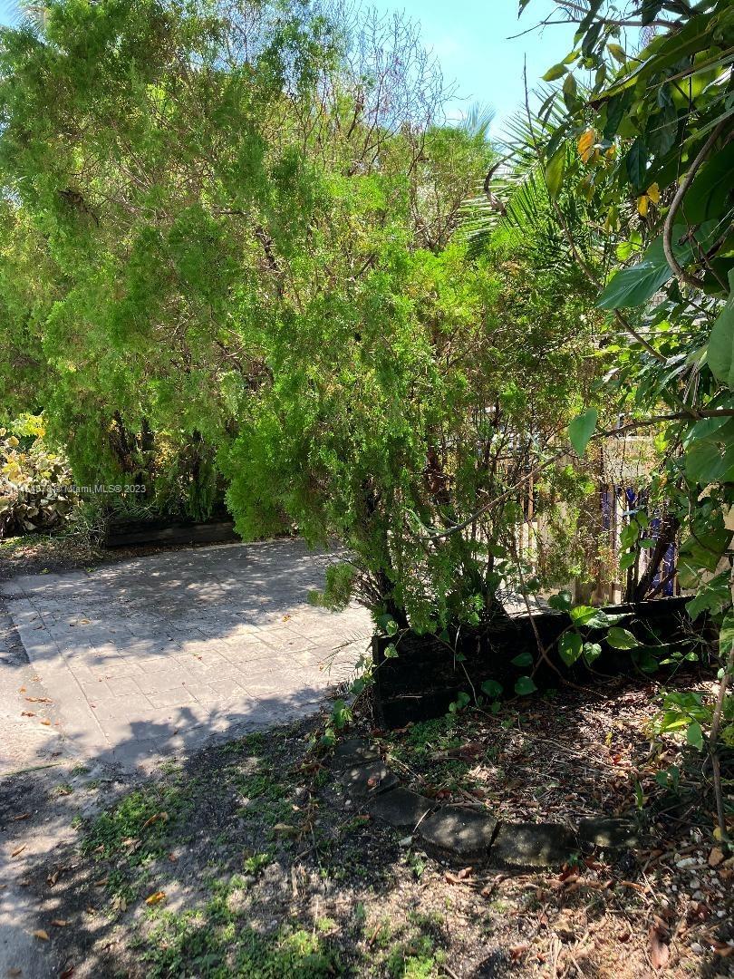 ADEMAR PARK AMD PL - Residential