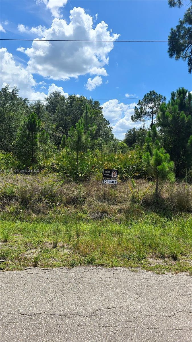 .....Impressive half acre lot perfectly located on a quiet street with loads of potential. Bring your big dreams and claim this lovely lot for your new construction.... Close to shopping and highways.....