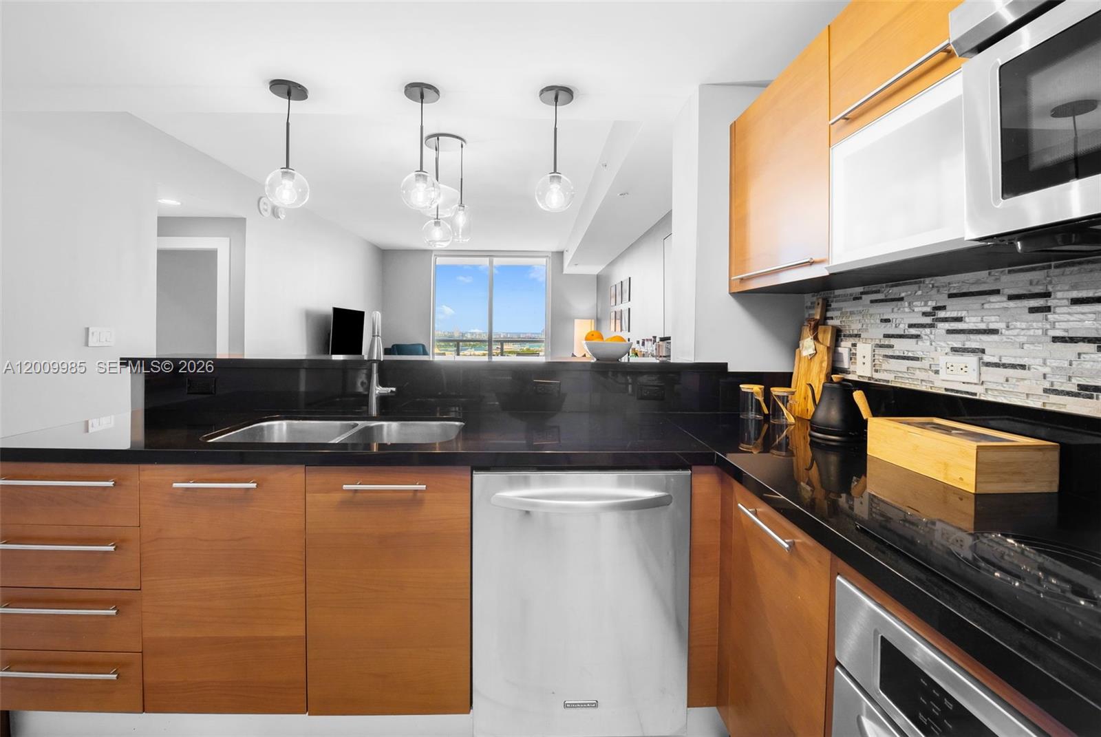 VIZCAYNE SOUTH CONDO - Residential