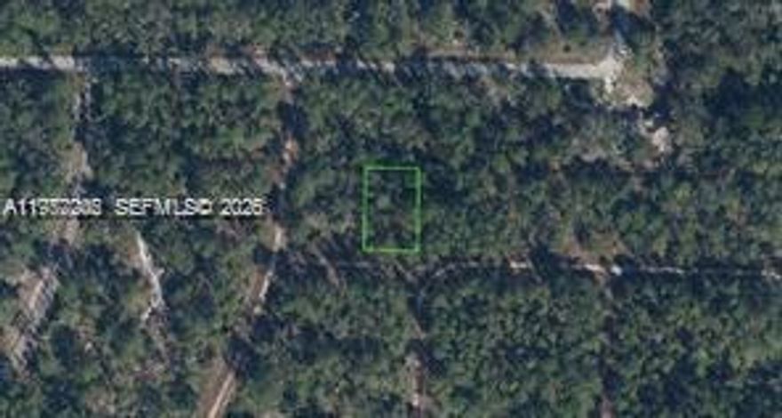 Discover this vacant 0.23-acre lot in the desirable Leisure Lakes section of Lake Placid. Ideally situated near lakes, golf courses, trails, and parks, including the renowned Highland Hammock State Park. This lot is perfect for building your dream home or as a smart investment opportunity. Don't miss out on this incredible chance—contact us today!