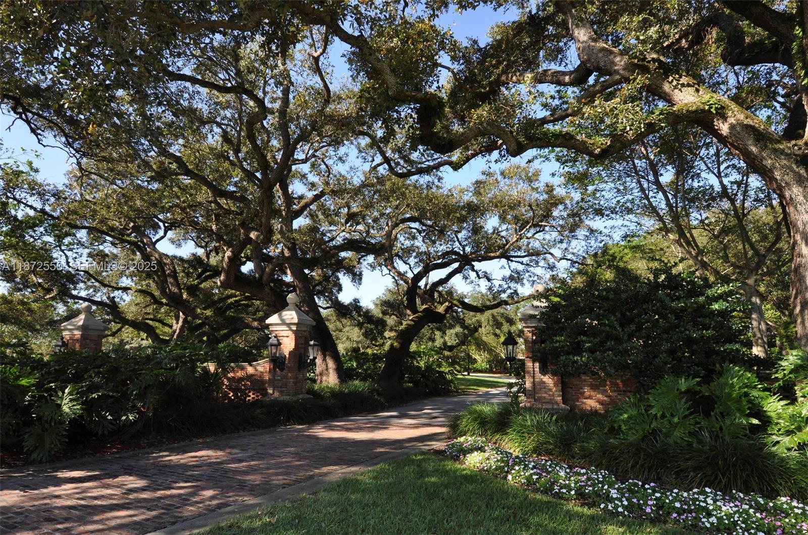FOREST RIDGE CLUSTER HOME - Residential