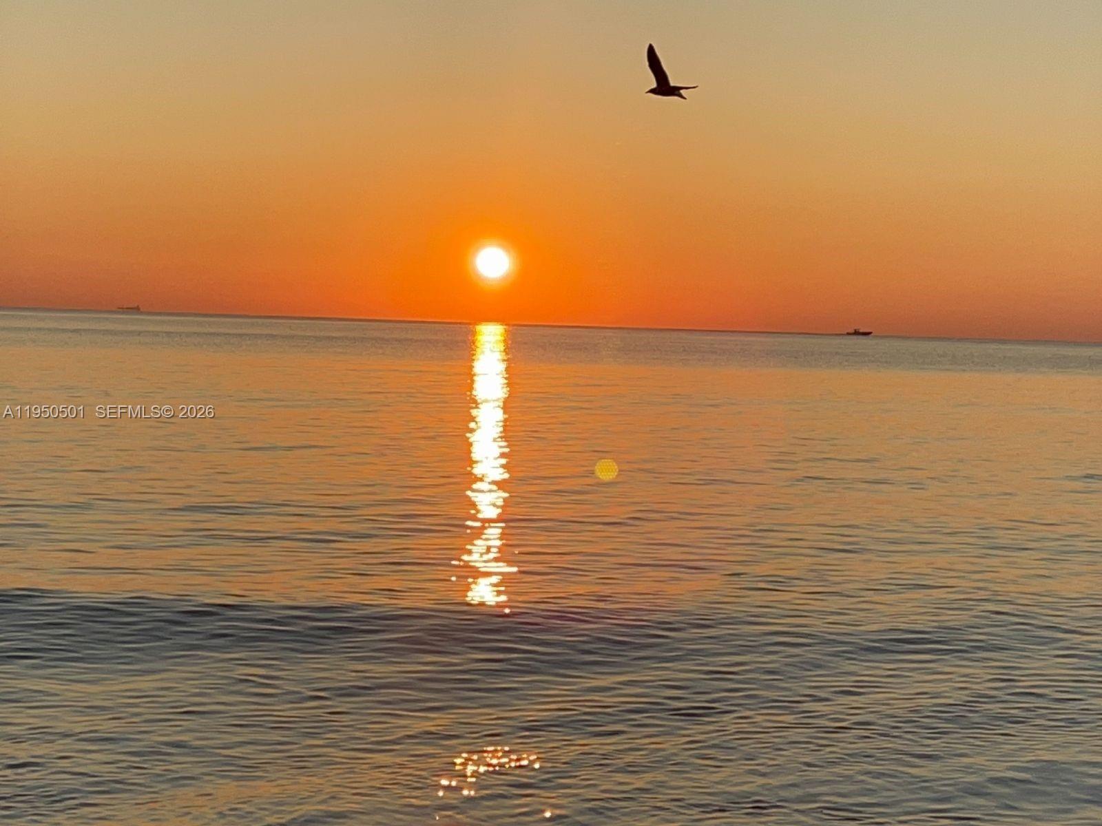 THE LEXINGTON EUCLID COND - Residential