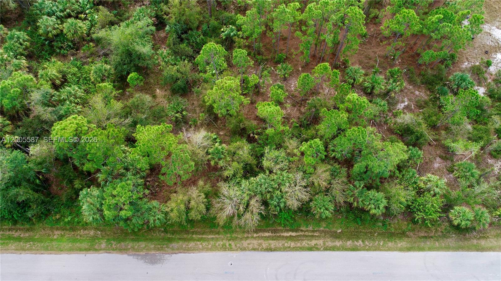 SOUTH PUNTA GORDA HEIGHTS - Land