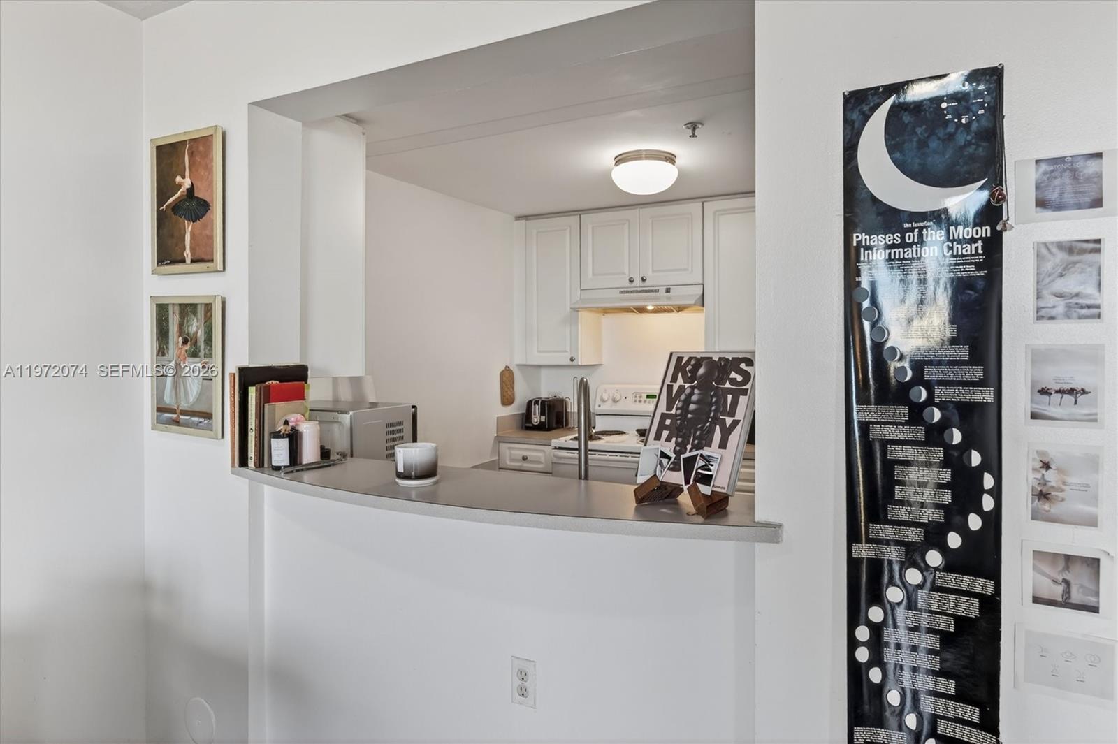 BRICKELL VISTA CONDO - Residential