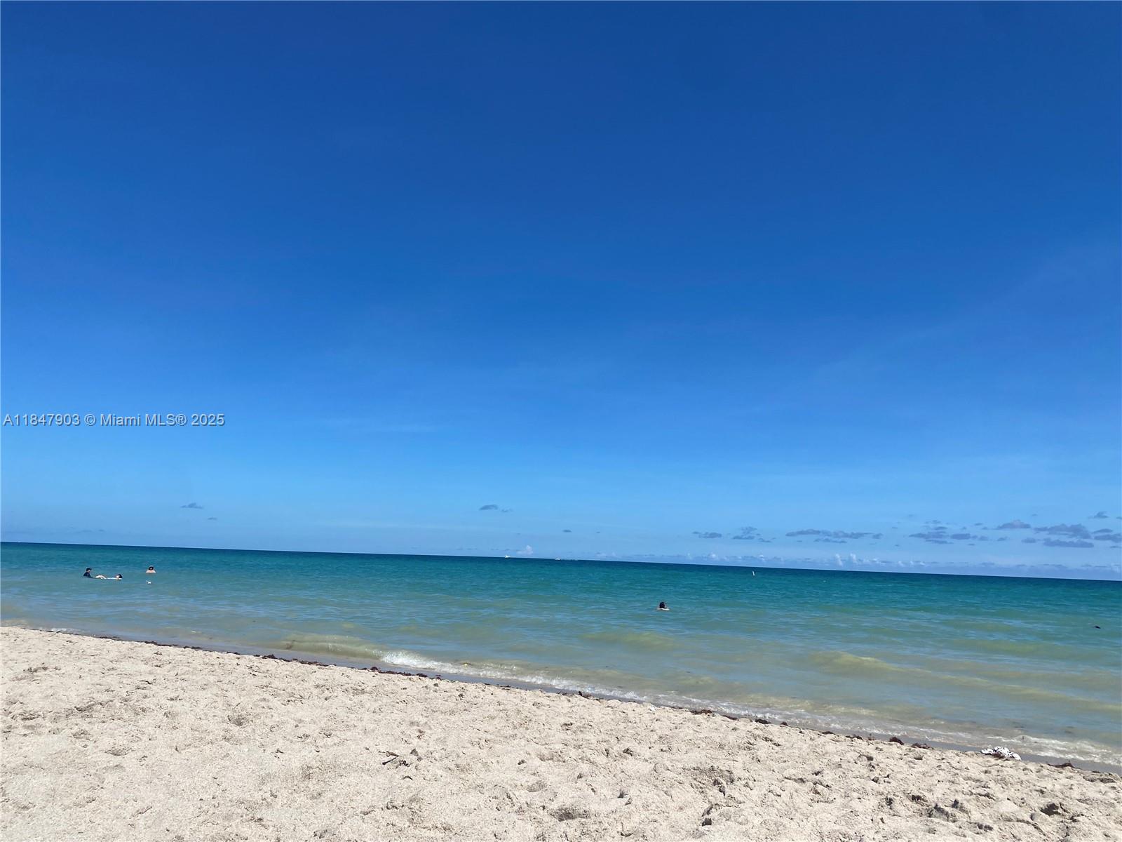 19201 Collins Ave 733