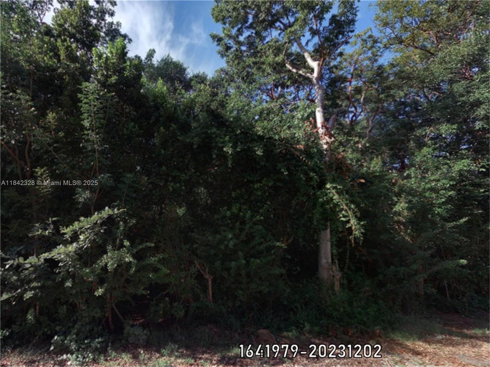 Tier 1 One Lot, heavily wooded.