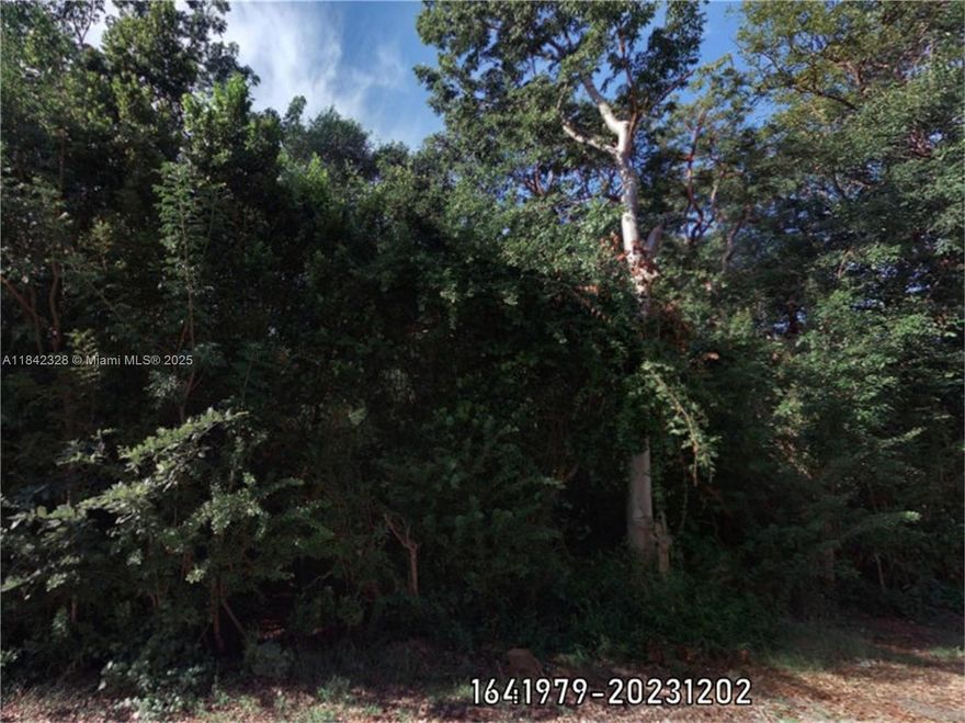 Tier 1 One Lot, heavily wooded.