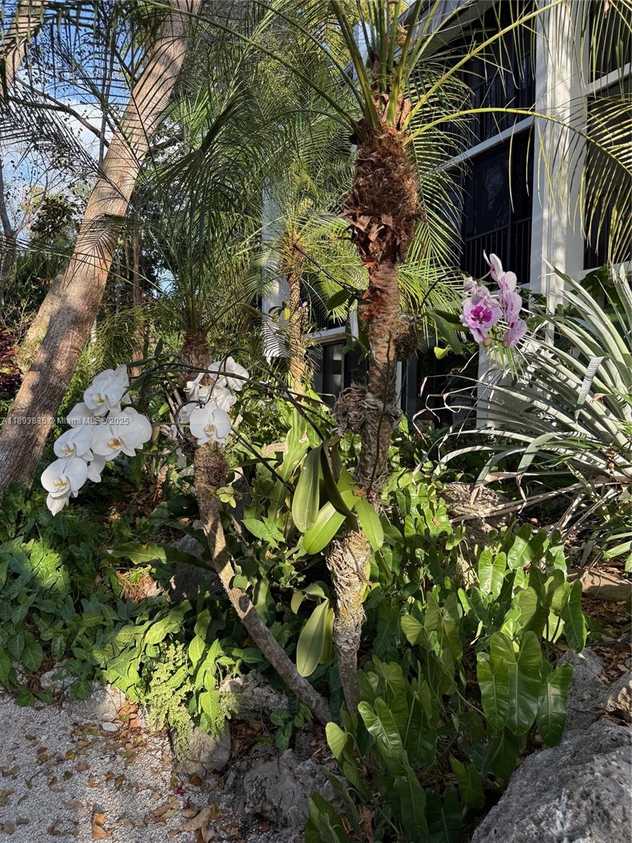 ROCK HARBOR (91 RESIDENTI - Residential Lease