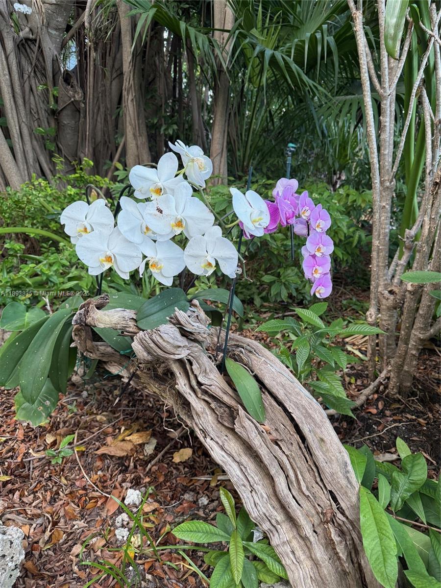 ROCK HARBOR (91 RESIDENTI - Residential Lease